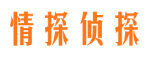 浠水市私人侦探